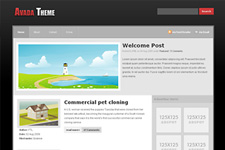 Avada WordPress Theme