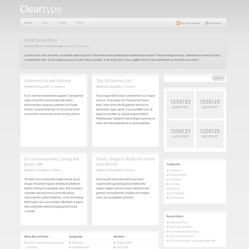 ClearTypeOne WP Theme