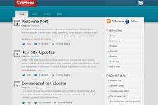 Craviora WordPress Theme