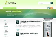 LimeSquash Theme