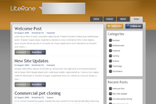 Literane WordPress Theme