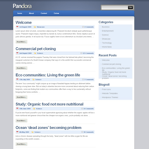 Pandora WordPress Theme