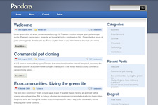 Pandora WordPress Theme